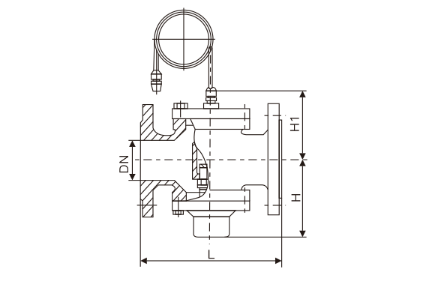 自力式壓(ya)差控制閥(fá)(圖1)