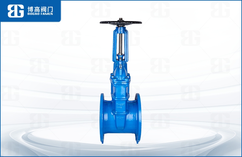 明杆彈(dan)性座封閘閥