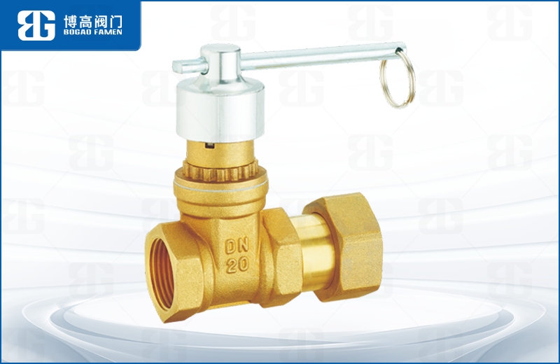 磁性鎖閉活(huo)接止回閘閥(fa)