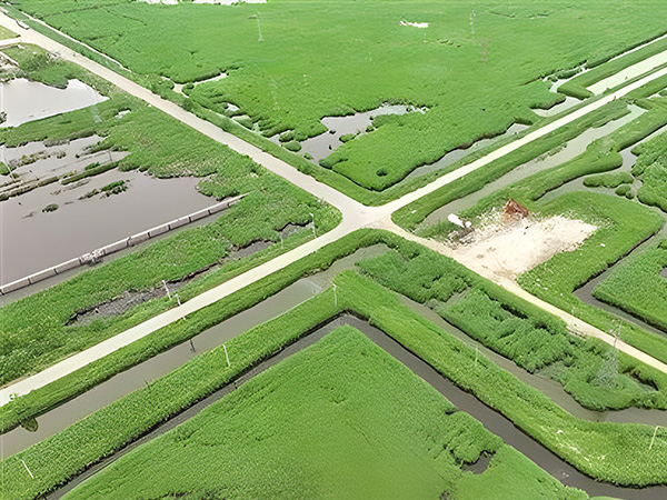 打造綠(lü)色低碳(tan)油田 做(zuò)綠色發(fa)展的“頂(dǐng)梁柱”